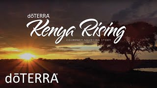 Kenya Rising- Providing Business Opportunities To Kenyan Farmers