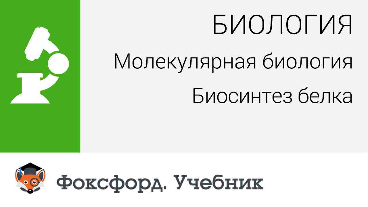 Биология. Молекулярная биология. Биосинтез белка. Центр онлайн-обучения ...