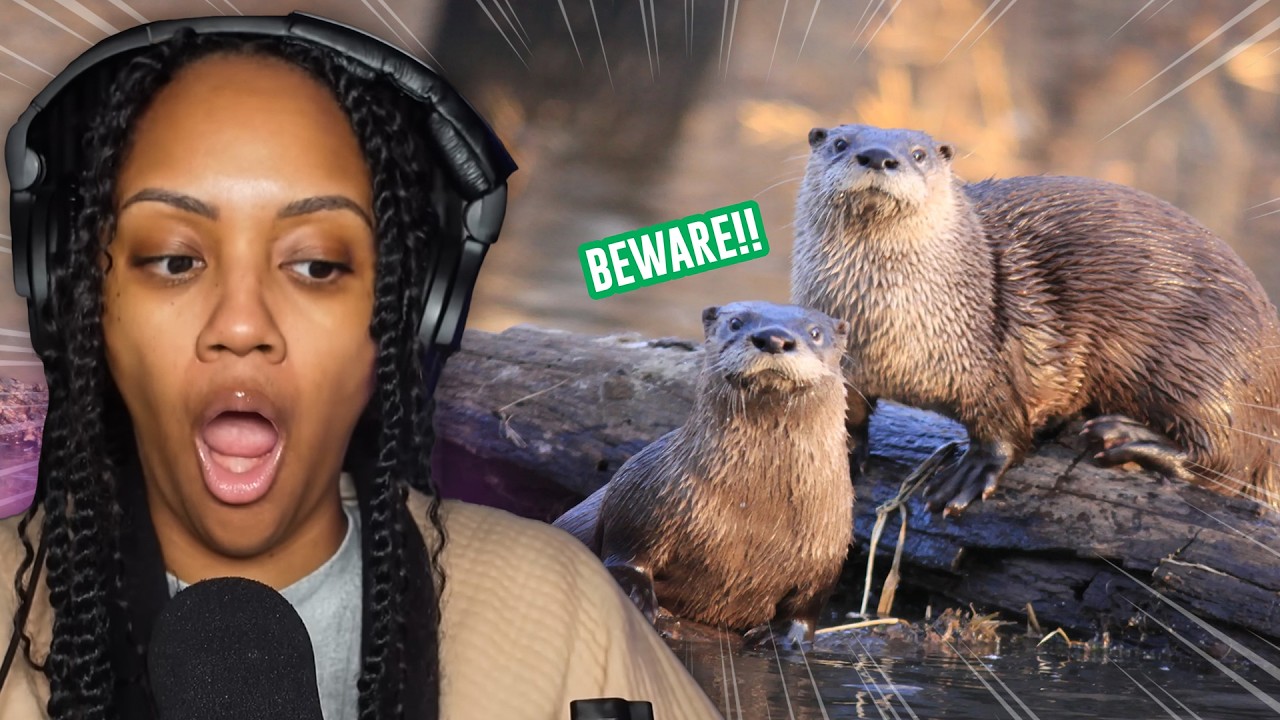 КОШМАР!!! | CASUAL GEOGRAPHIC | ПОЧЕМУ ЭТО ЖИВОТНОЕ — ВОЕННЫЙ ПРЕСТУПНИК | РЕАКЦИЯ