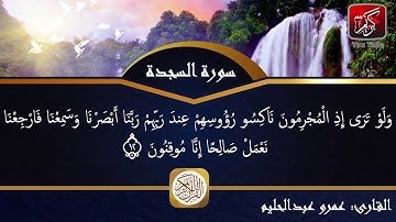 قراءة خاشعة مبكية لسورة السجدة كاملة للقارئ عمرو عبد الحليم