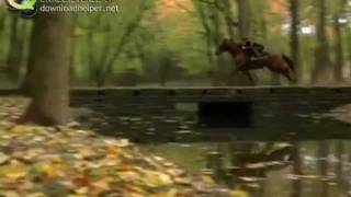 REQUIEM- Secretariat, Shergar, Ruffian, Seabiscuit