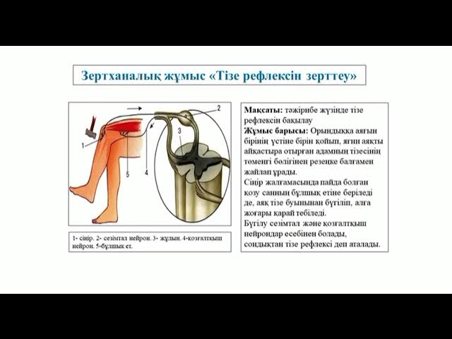 Екатеринбургтегі трансвеститпен танысу
