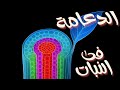 أقوى شرح لدرس الدعامة في النبات للثانوية العامة مش هتحتاج درس تاني أقوى شرح لدرس الدعامة في النبات للثانوية العامة مش هتحتاج درس تاني