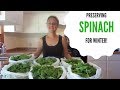 Preserving Spinach for Winter - Start to Finish!