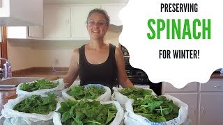 Preserving Spinach for Winter - Start to Finish!