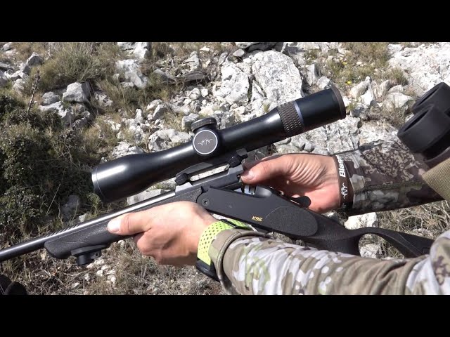 Blaser K95 Ultimate cazando arruis/ barbarian sheep Hunting.