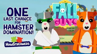 Fall guys season 3 hamster domination finale screenshot 5