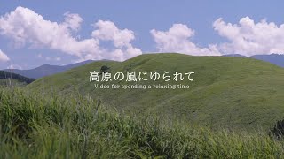 高原の風にゆられて 環境音 ambient sound |  ASMR | 睡眠