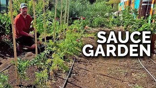 Planting a Tomato Sauce Garden!