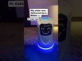 I met Robot 🤖 as a delivery guy. Cabin crew layover, flights, shanghai, cabin crew life #minivlog