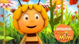 La Abeja Maya  El juez buenacera (Episodio 1) | Dibujos animados