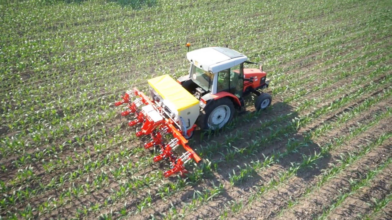 Sarchiatrice Damax D790 R