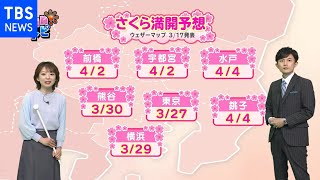 東京の桜が開花した発表、いよいよ関東も桜のシーズン到来 そこで今回は味覚でも春を感じる桜を使ったビールをご紹介します【SUNトピ】