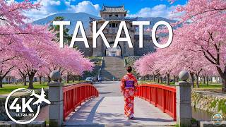 Takato Castle Ruins Spring 4K 🌸 Dense Pink Kohigan Sakura, Iconic Blossom Park & Serene Views