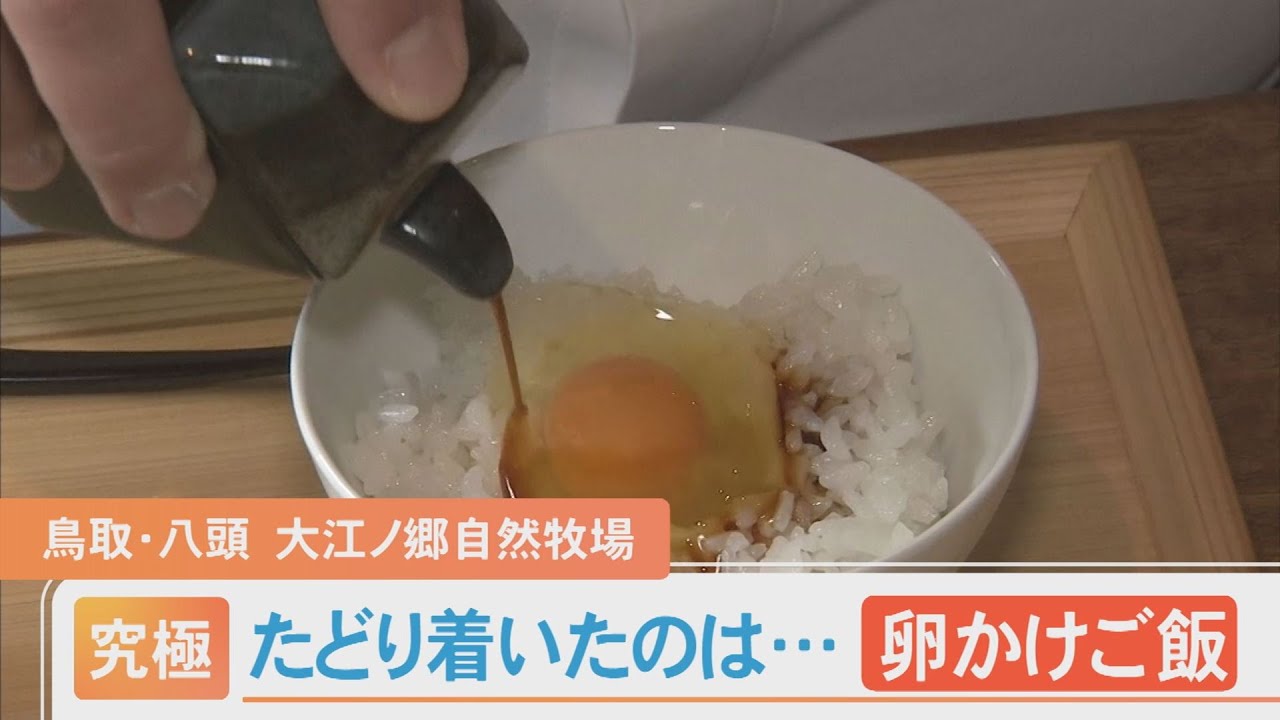 たどり着いたのは究極の「卵かけご飯」…大江ノ郷自然牧場の専門店