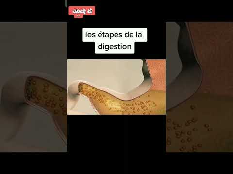 الهضم الميكانيكي للقمة وبلع الأغذية