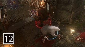 Goblin stragglers | BG3 PART 12 (No Commentary)(Dwarf Druid Neutral-Good) Walkthrough Playthrough