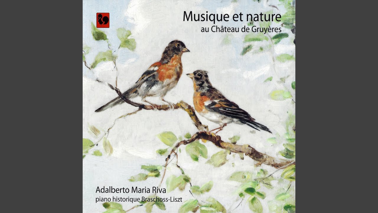 Visiter Le Bordeaux De 1837 - L’album Du Voyageur