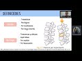 TRAUMATOLOGÍA - CLASE 1 - FRACTURAS