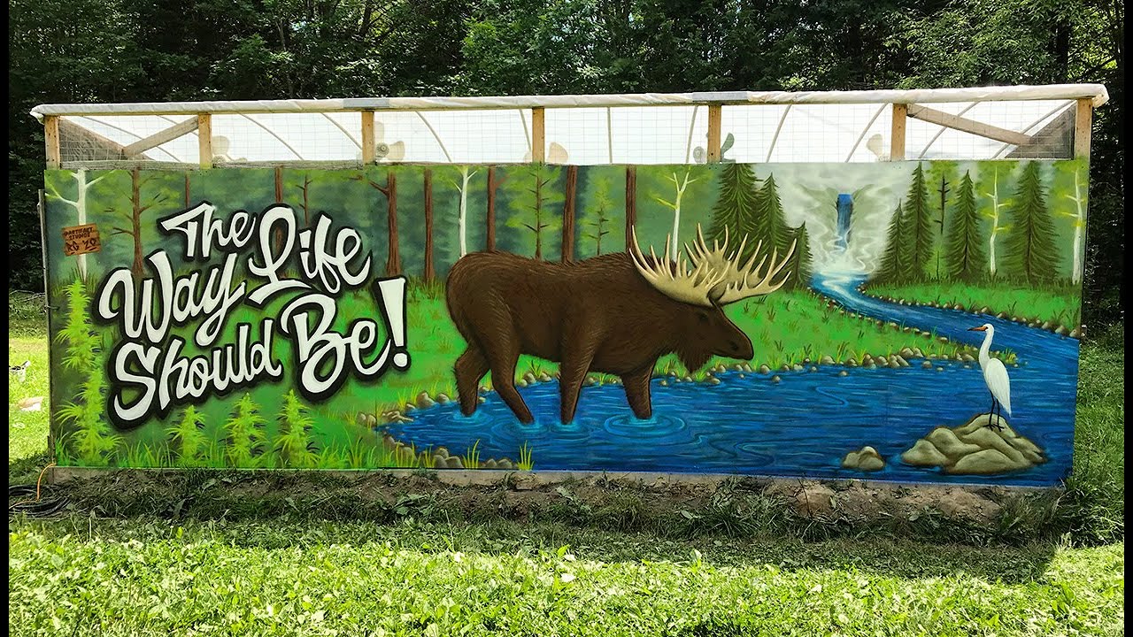 The Way Life Should Be