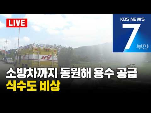 [<strong>LIVE</strong>] KBS 뉴스7 <strong>부산</strong> - 2026.08.05(수)