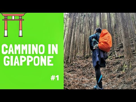 Video: Kumano Kodo Pellegrinaggio Trail: la guida completa