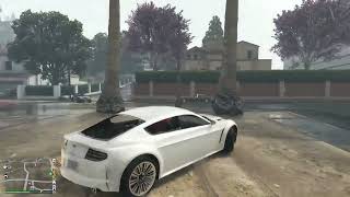 Palm Tree Drift