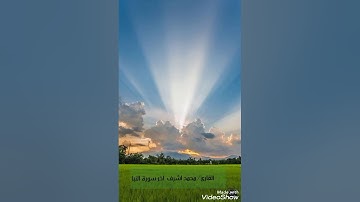 القارئ / محمد اشرف. آخر سورة النبإ