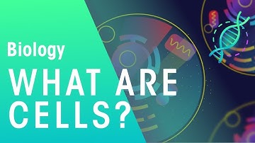 Cells: The Building Blocks of Life 🧬 | Discover the Secrets of Living Organisms