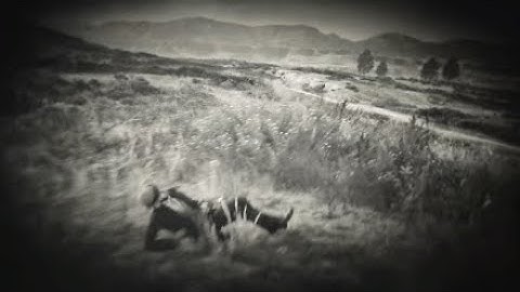 PS4:RDR2 Online best lagswitch + DF mod - DS-EVILBORZ