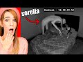 A sua sorella è successo qualcosa di orribile...