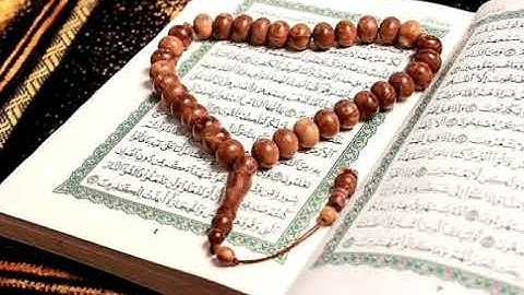 اخشع تلاوة ممكن تسمعها للشيخ الشاذلي سيد لعيد ..صلاة الجمعة 01/11/2019 بمسجد الإمام الشافعي عشعاشة