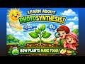 Photosynthesis Explained Clearly| Light &amp; Dark Reactions #photosynthesis #science #kidslearning