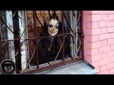 SCARY VIDEOS that