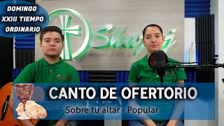 Miniatura del video "Sobre tu altar -  CANTO DE OFERTORIO | SHAJAJ Ministerio Católico."