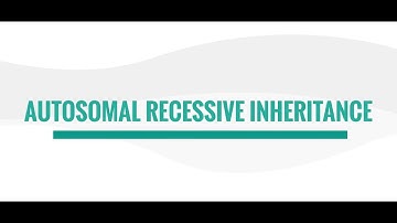 Autosomal Recessive Inheritance Informational Video