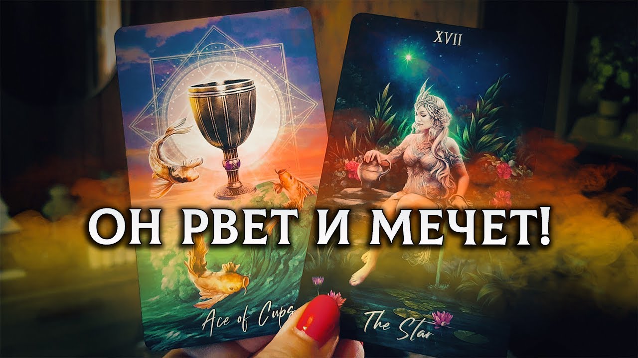 Он в бешенстве РВЕТ и МЕЧЕТ! И это из-за тебя!