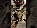 WHEEL BEARING Replacement