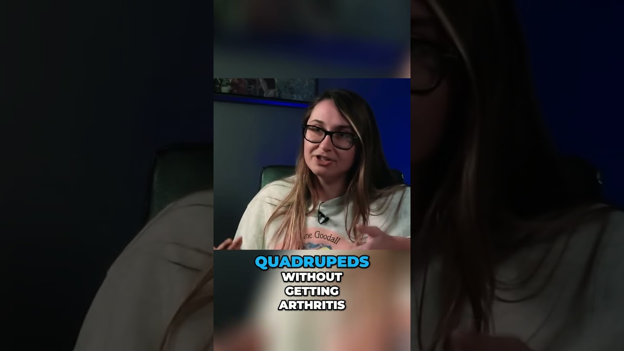 CREATIONIST CLAIM: Lucy Was Just an Ape [wrong]