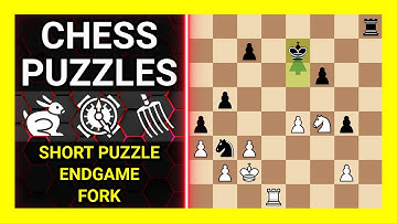 Chess Puzzles to Practice. Themes: Short puzzle, Endgame, Fork. Learn Chess