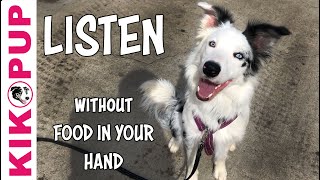 Teach your dog to listen without a treat in your hand