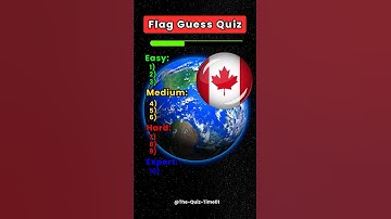 Can You Name These 10 Country Flags? 🌍✨ #shorts #flagquiz #geographyquiz #quiztime