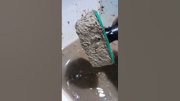 DIY paper pulp food containers. environmentally friendly