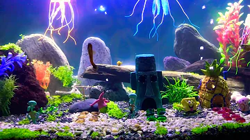 Spongebob themed aquarium