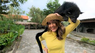 Belajar Jadi Pawang Binturong 