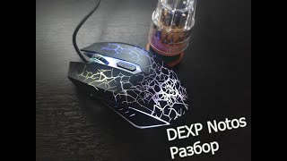 Разбор мыши DEXP Notos