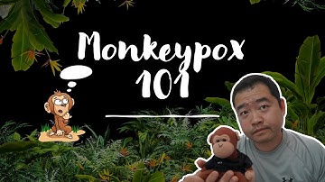 Monkeypox Outbreak 2022 | What