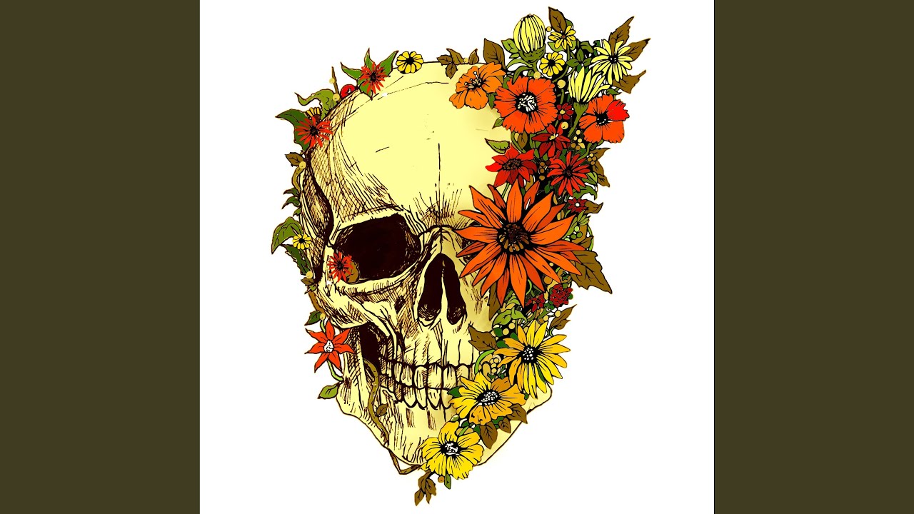 Bloom & Decay adlı videoyu YouTube'da izle Bloom & Decay adlı videoyu YouTube'da izle