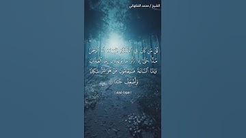 سورة مريم ♥️