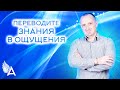 ПЕРЕВОДИТЕ ЗНАНИЯ В ОЩУЩЕНИЯ – Михаил Агеев